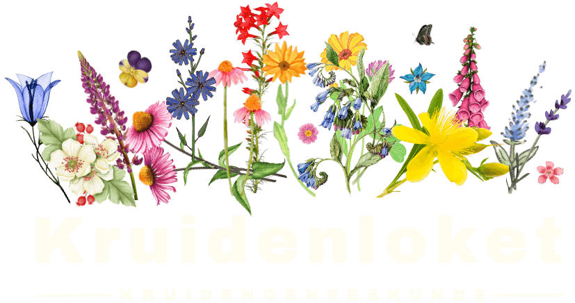 Kruidenloket