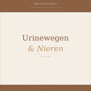 Urinewegen & Nieren analyse